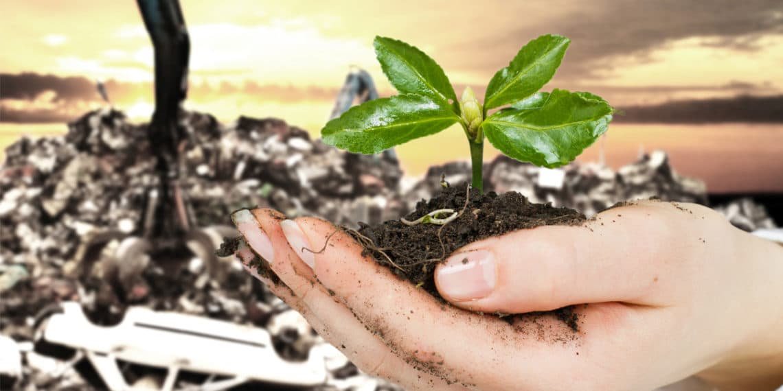 A hand holding dirt a symbol of enviormental change